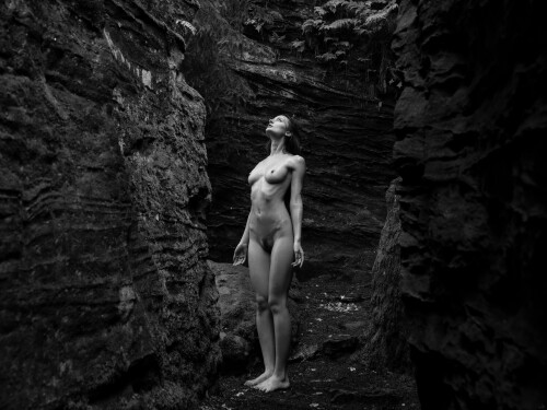  X5A2564 bwaa23ddc8883f81e5