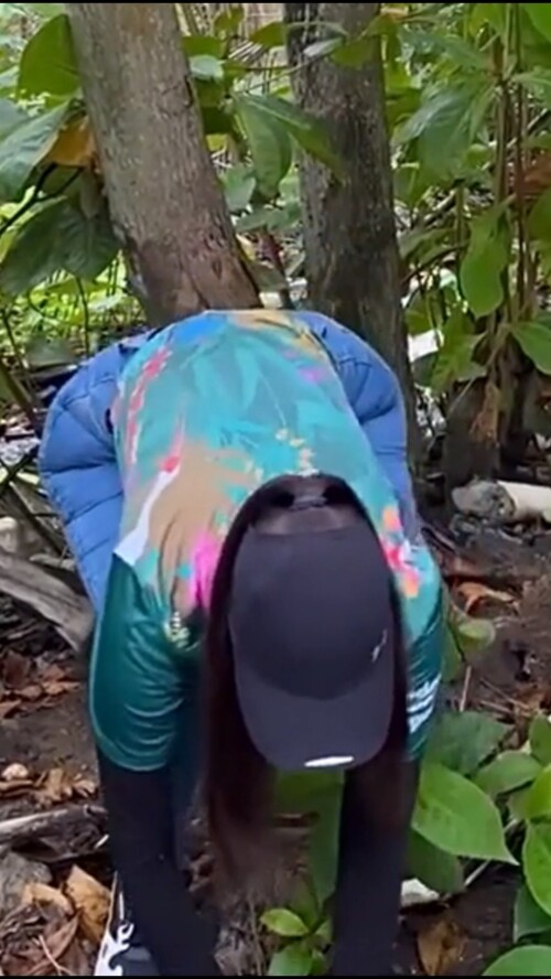  snapshot 00.34 a36eba88106d2910