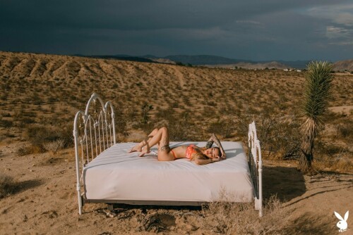 aaaa225eec5c8bd5d557