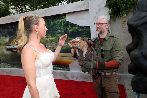 aaaaa 8a474178d952d753e