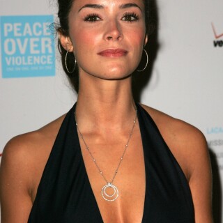 abigail-spencer-young-74284