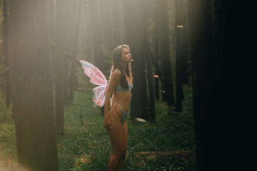 ace25d33-407c-4e0f-b164-974f3421dea191aa8ef57ddd2ddf.jpeg
