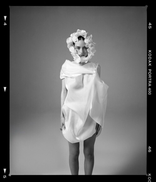 addf76 21b55ce8959006daa