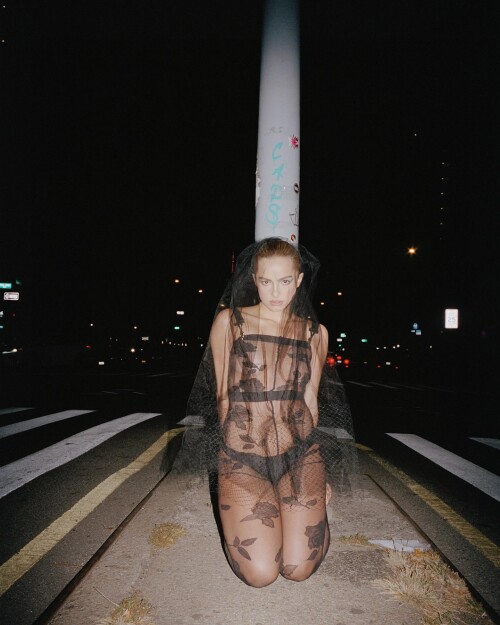 addisonraee 1731349139 3499132650487733136 304358009f283a06a6546282c