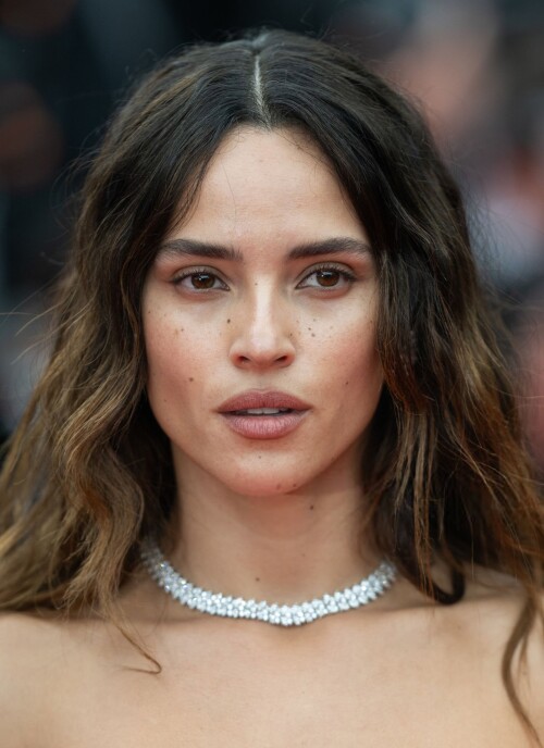 adria 17ae201d5341cbcddc