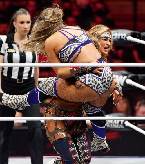 aew 3635025455401500590s2025 5 18 11.43.934 story6a6da0c510c6a4e5