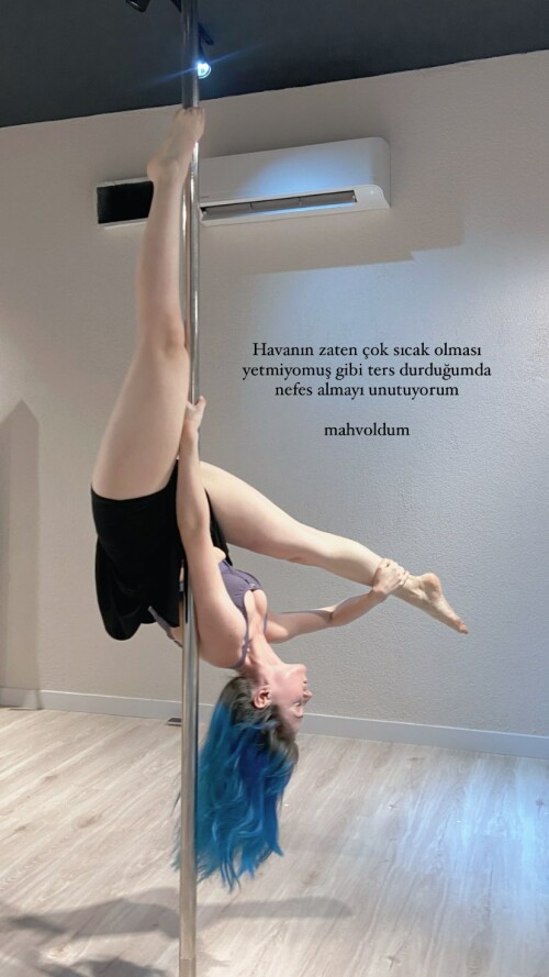 aldreann 3175763392248509844f884a950ac8e2d9b