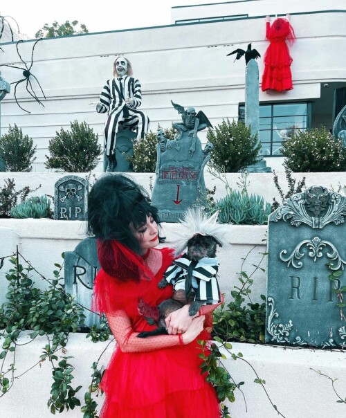 alessandra torresani 12 02 2021 7