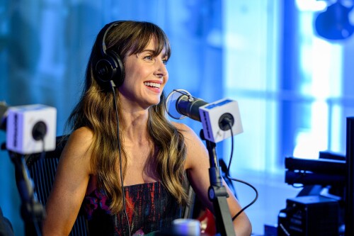 alison 1505916bb195456072