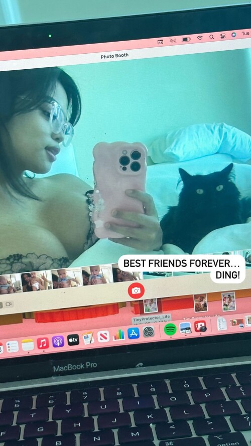 alythuh 3378477556490179063286d77b714121bf3