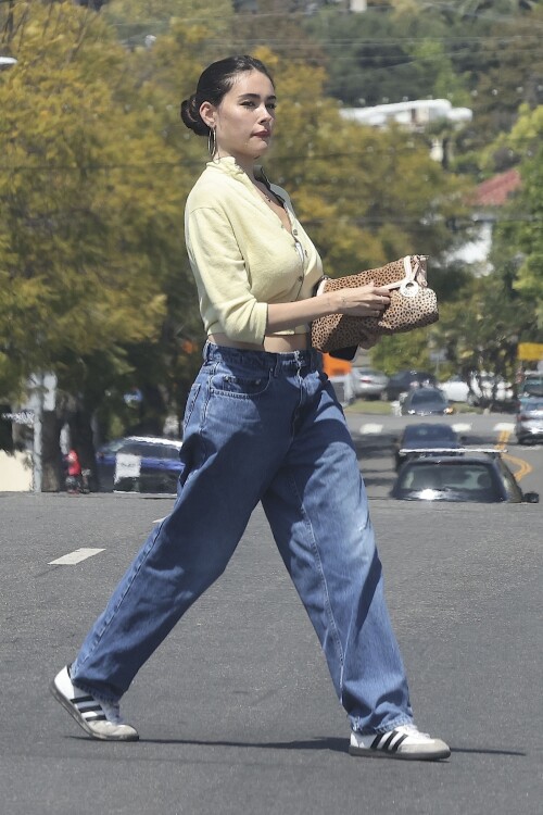 ambaesr-6dbfda232e8ba223e