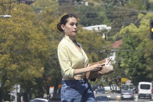 ambaesr-7e6987c042d443e23