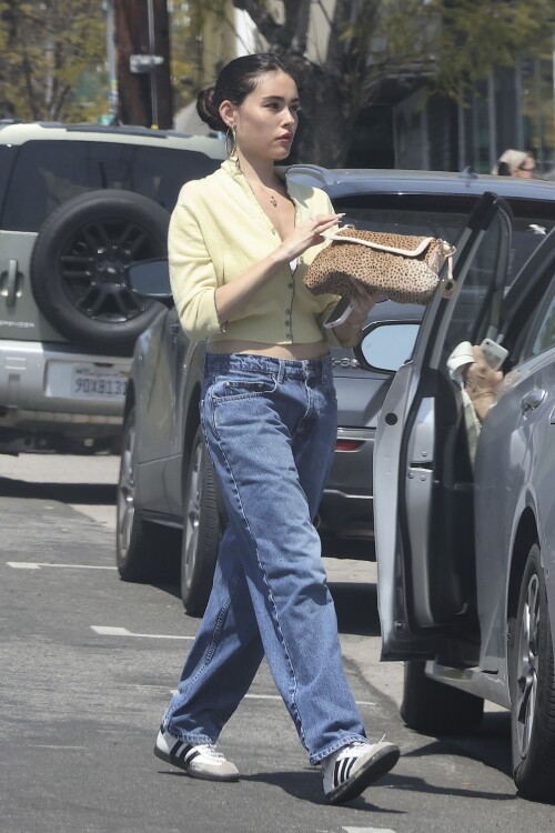 ambaesr-8841c8dfc42e3a6f9