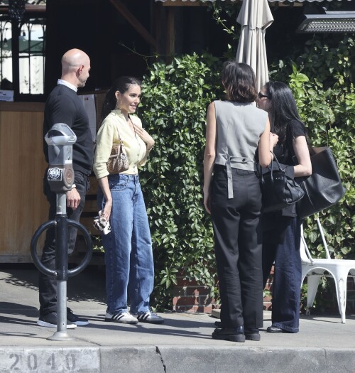 ambaesr-9d207789332de6c4b