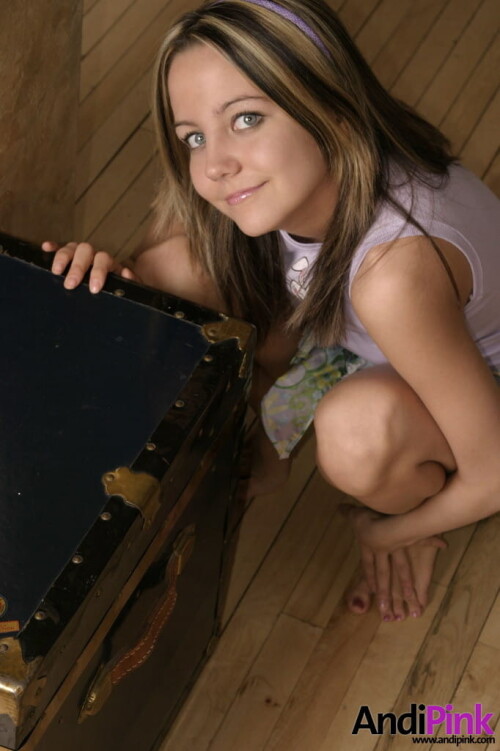 andipink03352 lg28a95e89e357bcc0