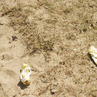 andipink12582-lg1aa97c02cbcdb4f8