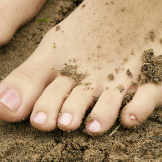 andipink13267-lg37bdd2f4653e85ab