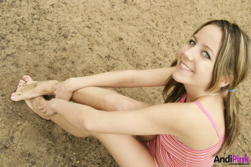 andipink13270 lg11487b6576b35f45