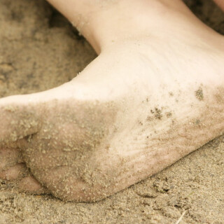 andipink13316-lg26324bcf9e6544fb