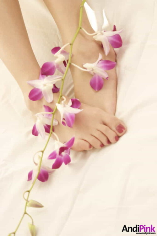 andipink13653 lg124f70092c182d9b