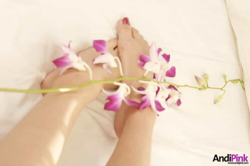 andipink13658 lg34898bdedf867644