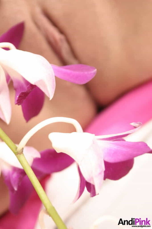 andipink13722 lg0a990fc82049c8a6