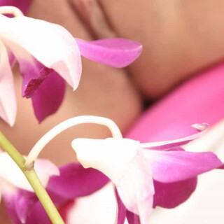 andipink13722-lg0a990fc82049c8a6