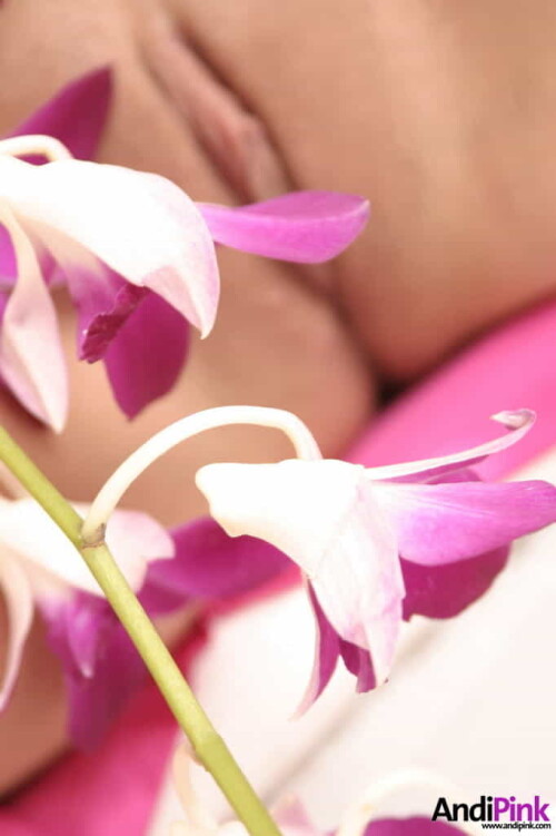 andipink13723 lg82f0403668bb0737