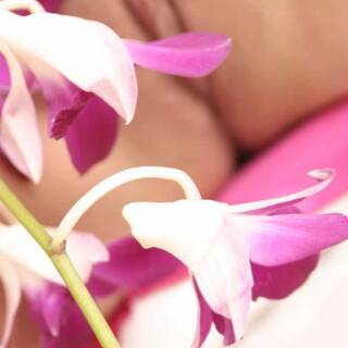 andipink13723-lg82f0403668bb0737