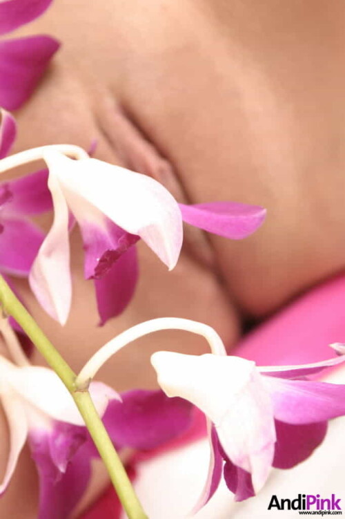 andipink13724 lgfa619cb8fa18fd58