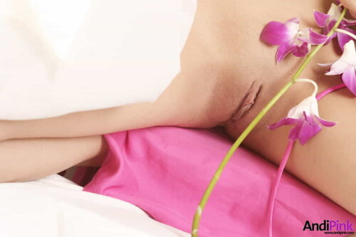 andipink13748 lg23ade7e8cdb986f8