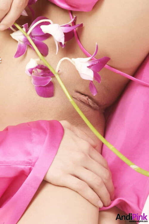 andipink13751 lgd9b962d9a33a80b6