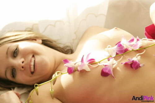 andipink13772 lg240df8b11fc2bd7b