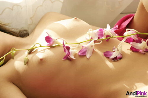 andipink13774 lge33e8e6152f0f2a2