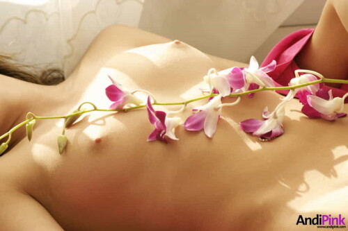 andipink13775 lgc1c12eeb3bffb4d5