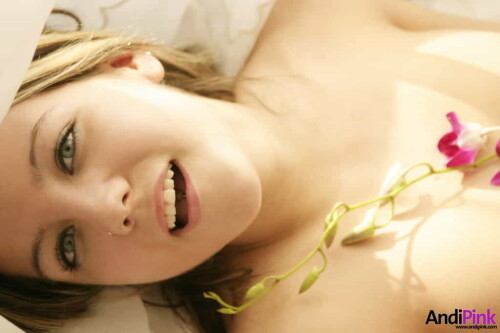 andipink13791 lgaafb21f6b90b0e6a