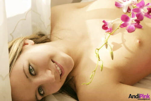 andipink13792 lgaa8a8415195381f1