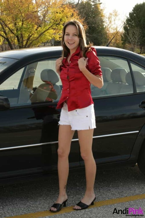 andipink18120-lg9b2558c85f419d09.jpeg