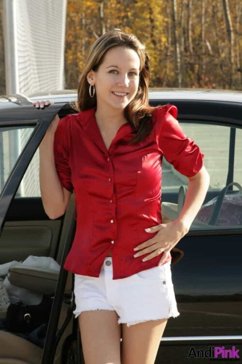 andipink18123-lg08baef860052c1b1.jpeg