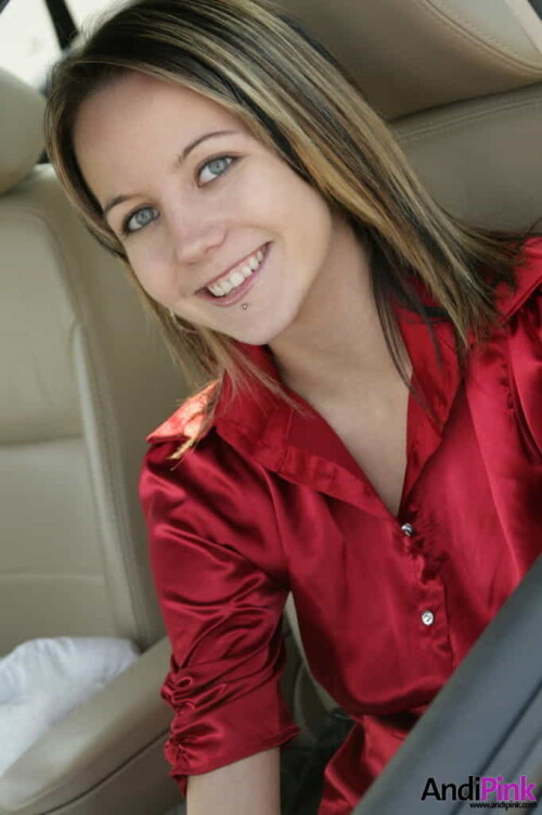 andipink18128-lg01d5d599f0f2f654.jpeg