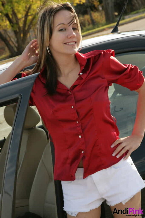 andipink18152-lg9602d5d6cd717b32.jpeg
