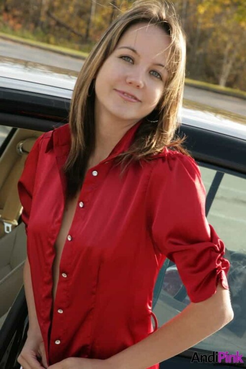 andipink18159-lg9af4e3cd6d88e654.jpeg