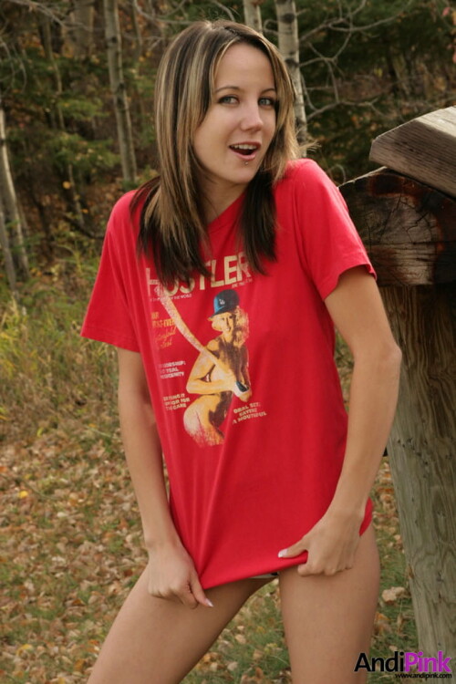 andipink20641 lg1a51373f86f8c4ba