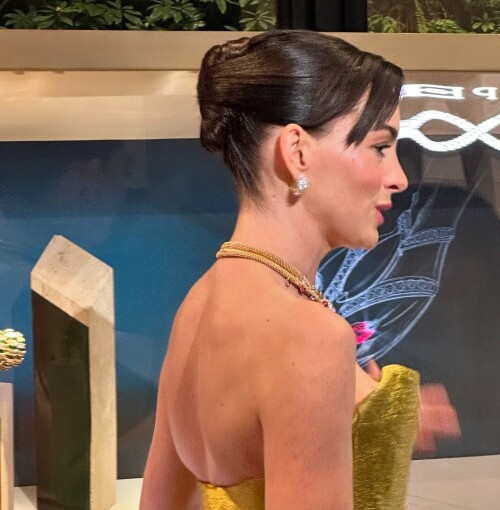 annigetsd-1038dbbd130de6e72a