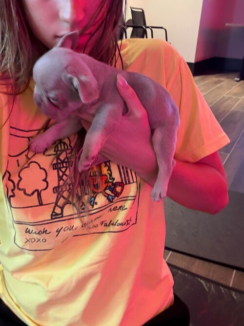 anonimostory.com Instagram tatemcrae 3663530156384324433 336233885ffbe07ed85fa7920