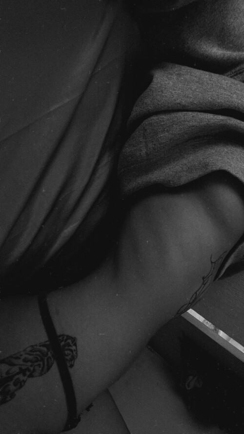 anonyviewer.com Instagram al.xannn 3733117159393371366748682972cc19d12