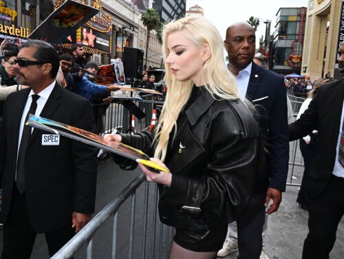 anya 100dfe8f3858189605