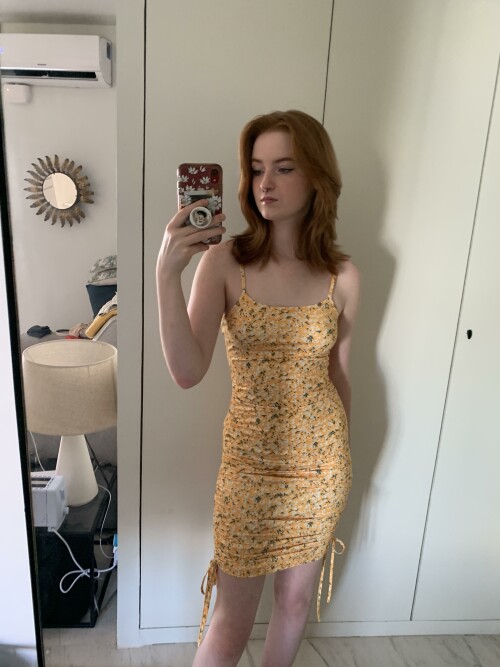 apodyopsis742 Photo 3