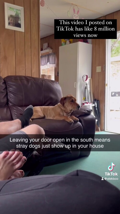 asdf50551f0c7a89b983