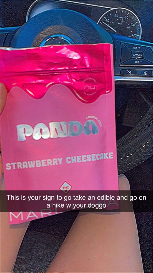 ashleyyy597 2025 04 10T15 30 252e744834d570ec42